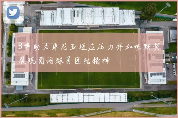 B费助力库尼亚适应压力并加练默契展现葡语球员团结精神